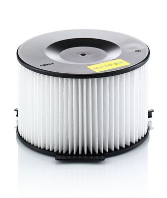 Filter, Innenraumluft