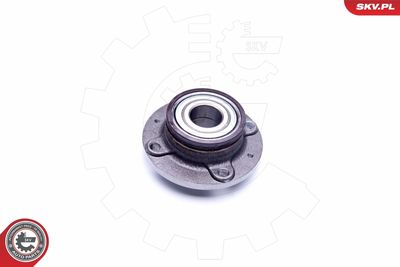 Wheel Bearing Kit 29SKV220