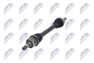 PLANETARA NTY NPWPE077 36