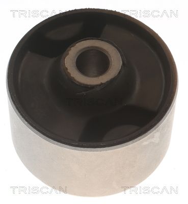 тампон, носач TRISCAN 8500 24894