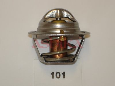 Thermostat, Kühlmittel