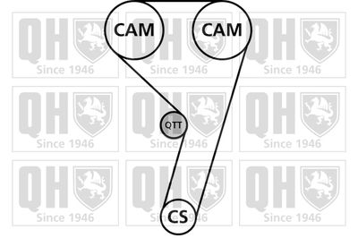 SET CUREA DE DISTRIBUTIE QUINTON HAZELL QBK879 1