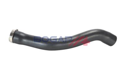 FURTUN EAR SUPRAALIMENTARE BOGAP R1711215 2