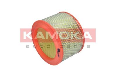 Air Filter F206301