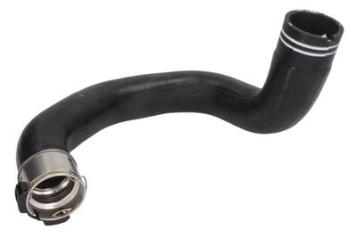 FURTUN EAR SUPRAALIMENTARE