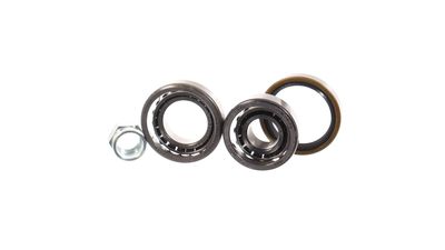 SET RULMENT ROATA SKF VKBA904 37