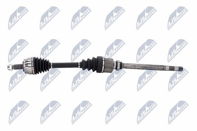 PLANETARA NTY NPWCT183 25