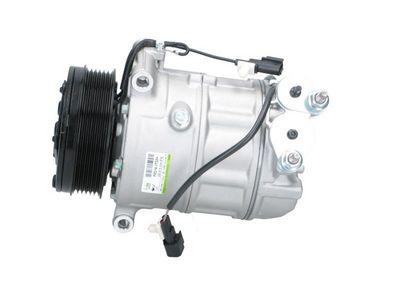 Kompresor, klimatizace BV PSH 090.815.004.876