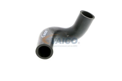 FURTUN AERISIRE CHIULASA VAICO V401784 52