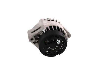 GENERATOR / ALTERNATOR REMANTE 011003000058R 29
