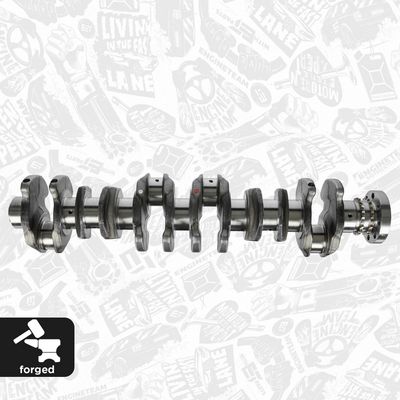 ARBORE COTIT ET ENGINETEAM HK0212 3