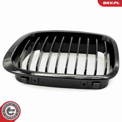 GRILA RADIATOR ESEN SKV 66SKV060 7