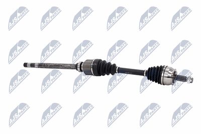 PLANETARA NTY NPWCT183 10