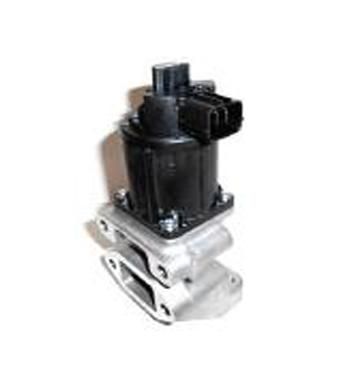 SUPAPA EGR ASSO 700138