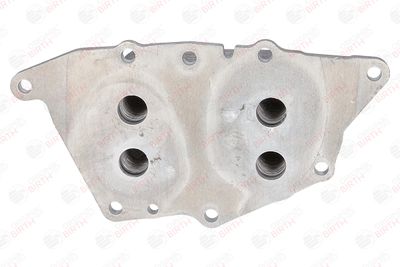 RADIATOR ULEI ULEI MOTOR BIRTH 80737 7
