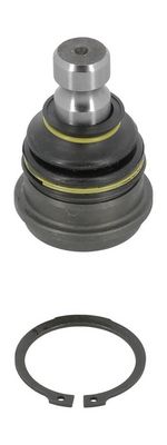 ARTICULATIE SARCINA/GHIDARE