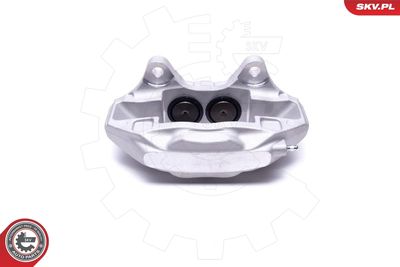 Brake Caliper 42SKV412