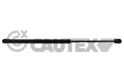 CAUTEX 773040 Амортизатор багажника и капота  для FIAT PUNTO (188_) 1.9 JTD
