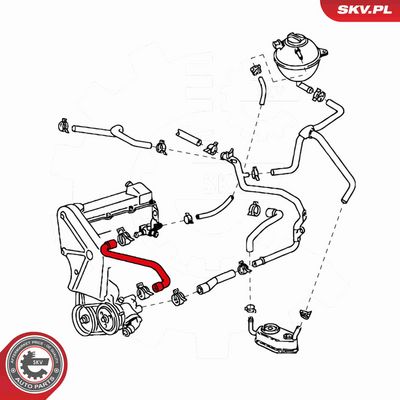 FURTUN RADIATOR ESEN SKV 24SKV372 3