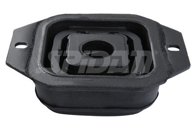 LAGERUNG ACHSKöRPER