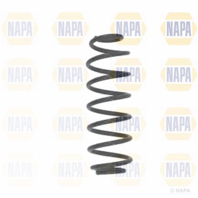 Suspension Spring NAPA NCS1617