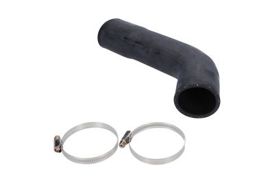 FURTUN EAR SUPRAALIMENTARE