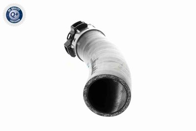 LADELUFTSCHLAUCH VAICO V461198 3