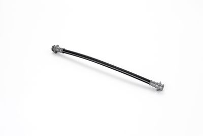 FURTUN FRANA ATE 24528402833 15