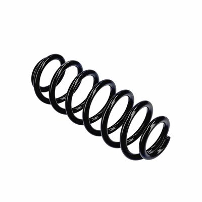 ARC SPIRAL EIBACH R13605 10