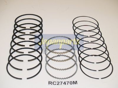 SEGMENT PISTON