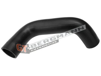 GT-BERGMANN Automotive Kompresoriaus padavimo žarna