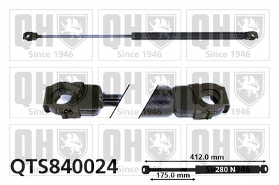 газов амортисьор, капак на двигателя QUINTON HAZELL QTS840024