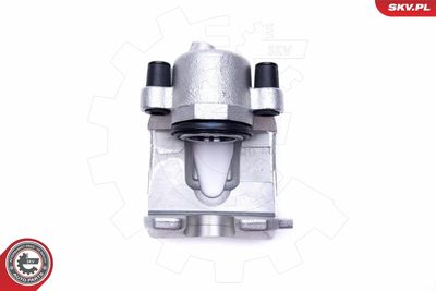 Brake Caliper 55SKV891