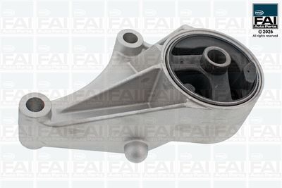 FAI AutoParts Variklio montavimas