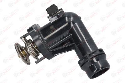 FLANSA LICHID RACIRE BIRTH 8988 2