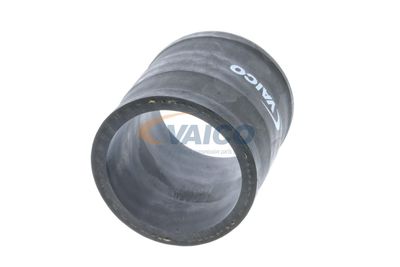 FURTUN EAR SUPRAALIMENTARE VAICO V401366 49