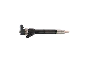 INJECTOR REMANTE 002003001713R 38