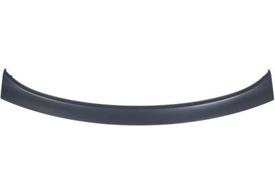 Boot lid strip past: OMODA 5 07.22-
