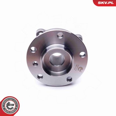 SET RULMENT ROATA ESEN SKV 29SKV176 3