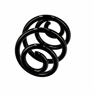 ARC SPIRAL EIBACH R10030 2