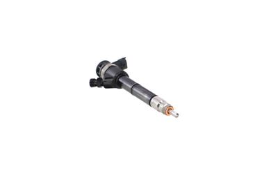 INJECTOR REMANTE 002003002220R 48