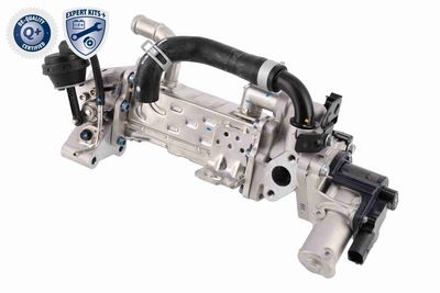 MODUL-EGR ACKOJA A52630019 4