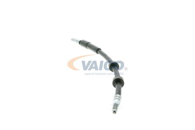 FURTUN FRANA VAICO V959582 12