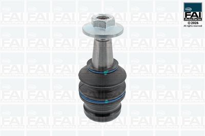Шарнири FAI AutoParts FPBJ0320