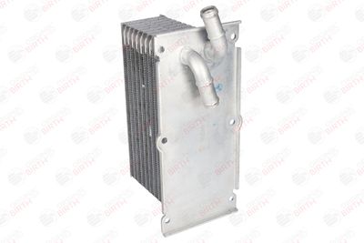 RADIATOR ULEI ULEI MOTOR BIRTH 80266 9