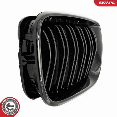 GRILA RADIATOR ESEN SKV 66SKV081 8