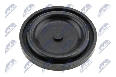 CAPAC CULBUTOR NTY BPZCT005 5