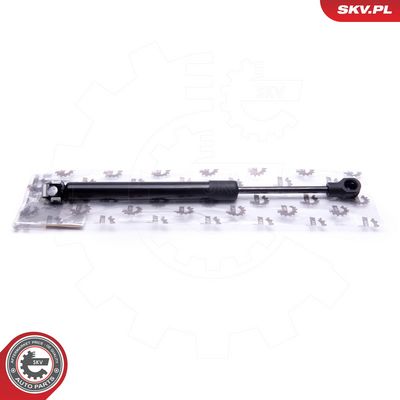 Dujinė spyruoklė, bagažinė