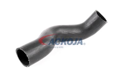 FURTUN EAR SUPRAALIMENTARE ACKOJA A380307 54