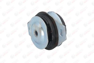 SUPORT MOTOR BIRTH 50043 3